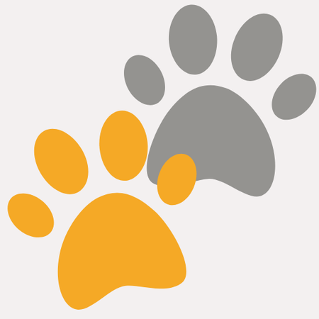 Pet